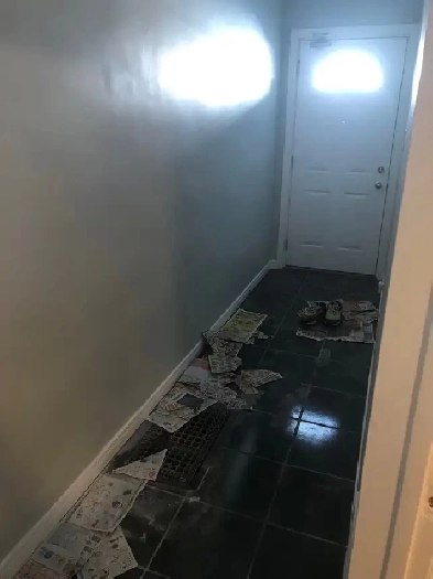 apartments for rent Image# 1