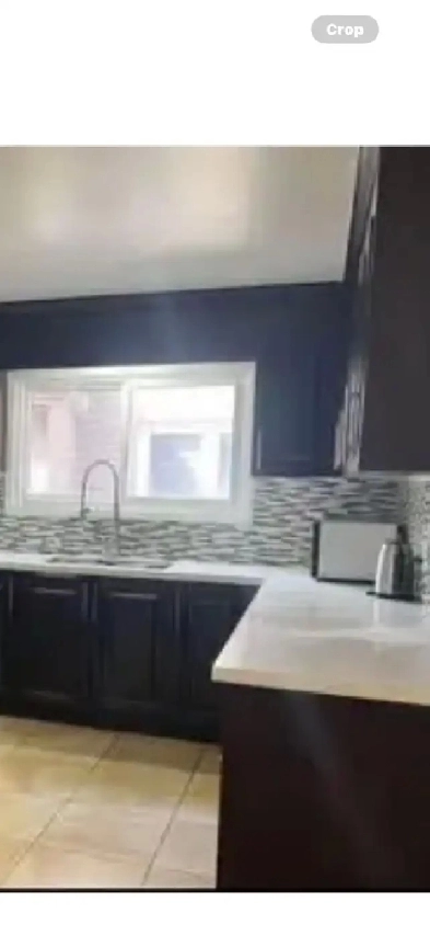 Room fo rent Keele/ Eglinton close to subway. Image# 3