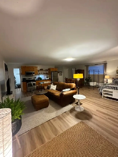 Fully furnished  1-BDRM studio rental in Chester Area