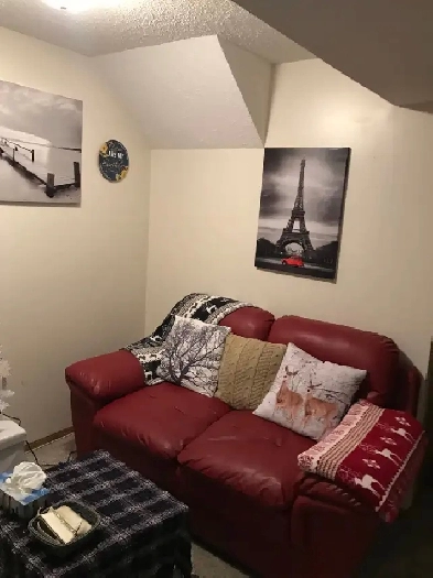 1 bedroom 1 bathroom Basement suite for rent in Martindale NE Image# 1