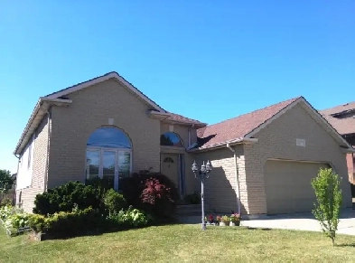 large room for rent near stclair college ready to move in Image# 1