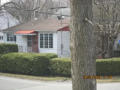 Maisons très ensoleiller a louer avec garage dans un Quartier tr Image# 1