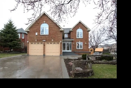 Spacious & Discounted basement apartment available -Mississauga