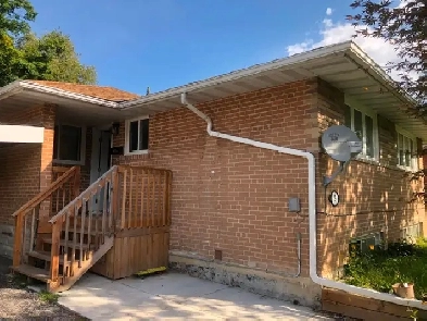 1 Bedroom (Main Floor) available for rent in Scarborough: Image# 1