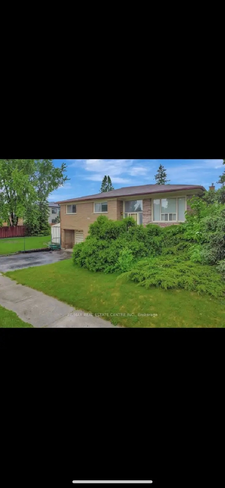 house for rent in Malton /Mississauga