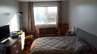 4 1/2 - St-Hubert -  Libre Immédiatement Image# 1