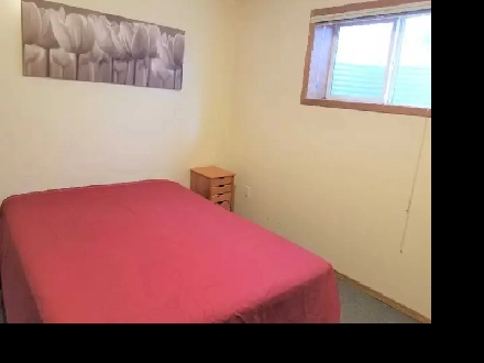 AWESOME LOCATION – BEAUTIFUL, BRIGHT BASEMENT SUITE Image# 1