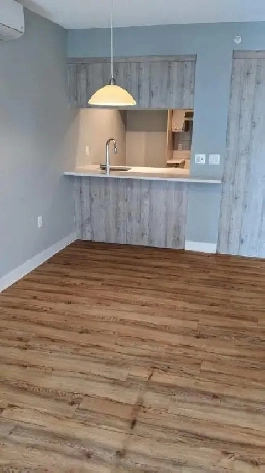 Appartement 3 1/2 dans immeuble près Bélanger et l'assomption Image# 1