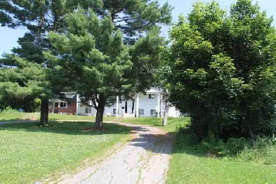 Private room in a nice residential area of Fredericton Image# 9
