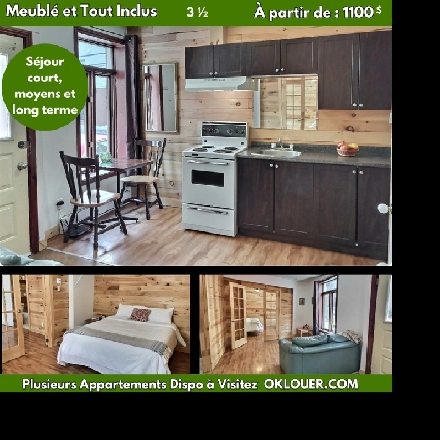 APPARTEMENT 1 CHAMBRE 3 1/2  MEUBLÉ-TOUT INCLUS, CENTRE VILLE Image# 1