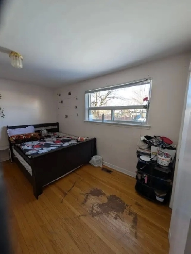 Room for Rent Malton Image# 1