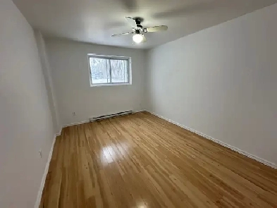 Grand et beau 4 1/2 à Longueuil Image# 1