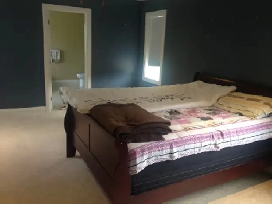 Ritchie area (close to UA & 82 Ave.), A Big Master room for RENT Image# 1