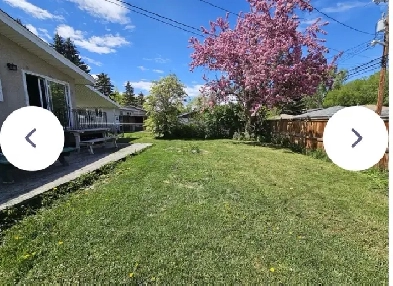 Bright Walk-out Basement In Brentwood ( Great Location) Image# 1