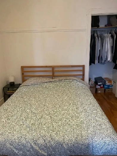 chambre à louer 1er mars Image# 1