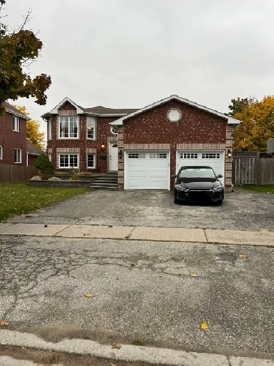 Unit Lower - 36 Douglas Dr, Barrie Grove East - Walk-out Image# 1