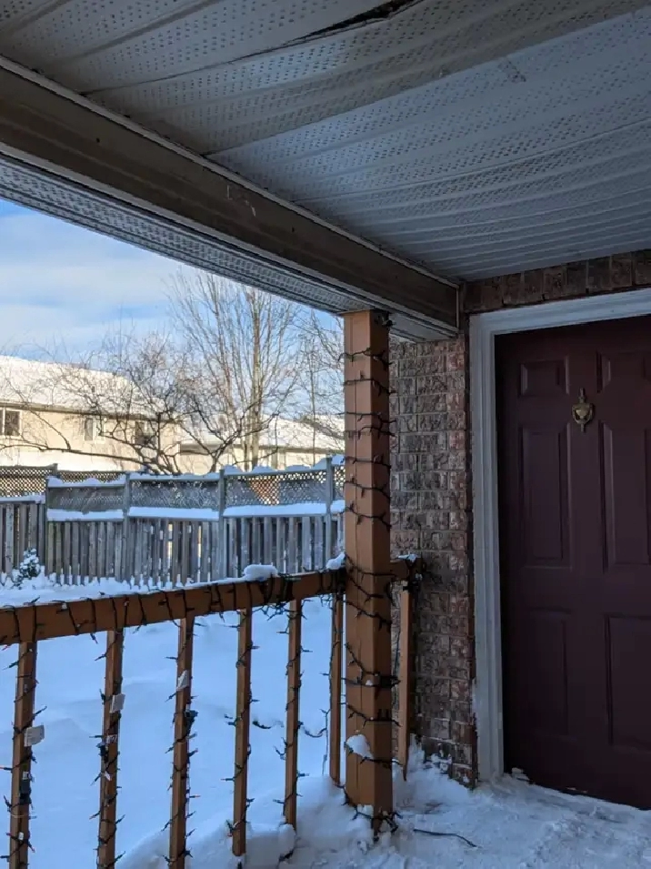 All inclusive walkout  1-bedroom basement apart.