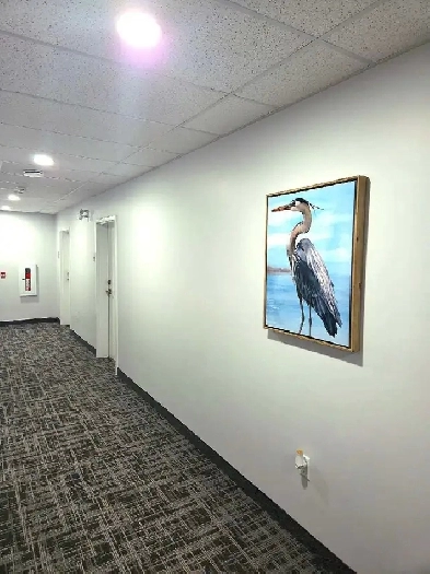 New apartment Image# 9