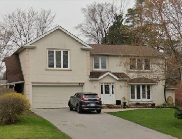 Move-in Today | Furnished Room for Rent near Yonge and Steeles Image# 1