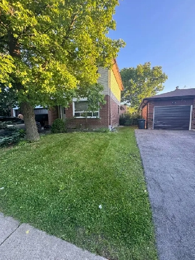 2 private basement rooms available to rent immediately - $525 Image# 1