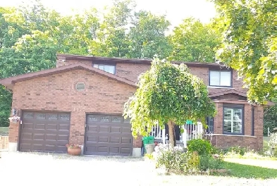 Room available for rent in four bedroom house Image# 1