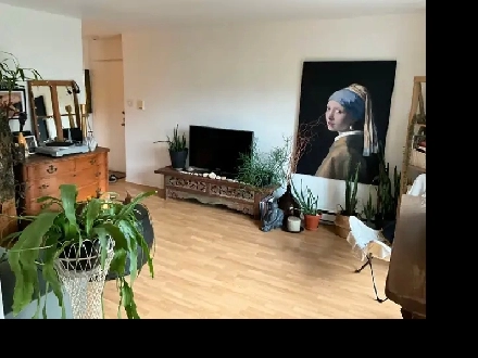 Appartement à louer Image# 1