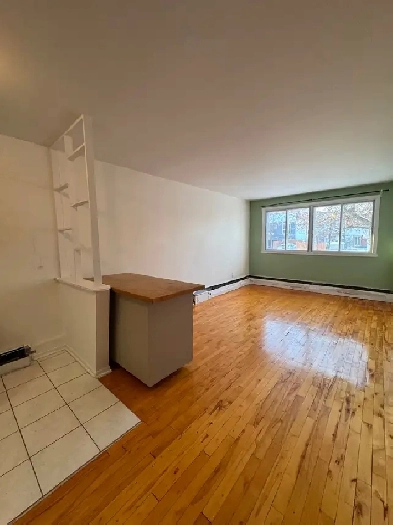 Superbe 3 ½ au Cœur de la Petite-Italie Image# 1