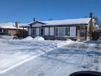 2 Student rooms Available  (Thorold) Image# 1