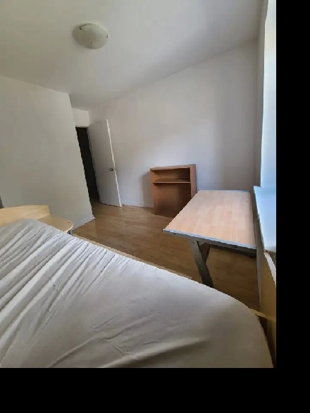 Finch / Birchmount @ Scarborough New Room 2nd floor To Rent! Image# 1