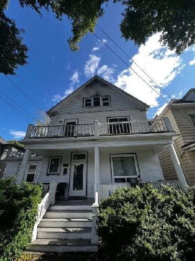Quiet bright 1 bedroom apartment on Cherry Street Image# 4