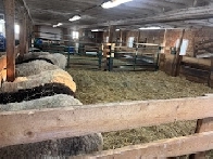 GRANGE A LOUER  ( x 2 )