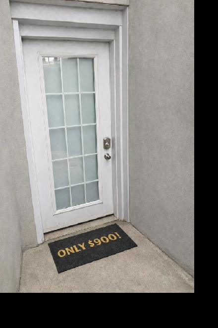 One Bedroom Apartment Available Immediately! Only 3 Month Term