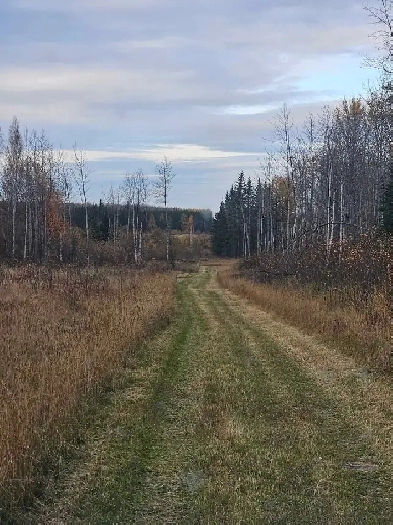 Rare Land Opportunity Image# 4