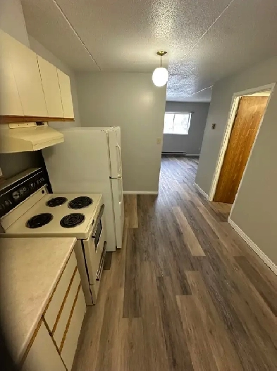 Main Floor Bachelor Available Now in Minnow Lake Image# 3