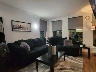 1 Bedroom apartment- Rental Image# 1