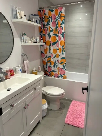 Appartement 4 ½ Rénové Image# 1