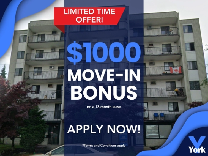 BEAUTIFUL 1 BEDROOM APARTMENT AVAILABLE