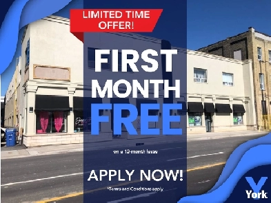 One Bedroom, Beautiful Suite Downtown! Image# 1