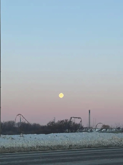 1 bed basement for rent in Maple Image# 1