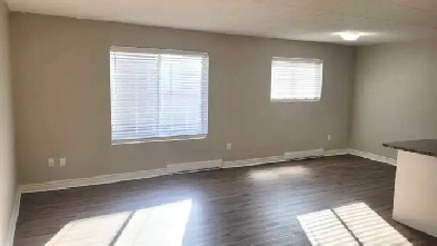 FULLY REMODELLED - 2 Bedroom Aparent for Rent Image# 6