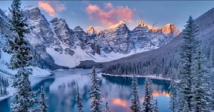 Room with Private entrance, laundry & full bathroom for rent