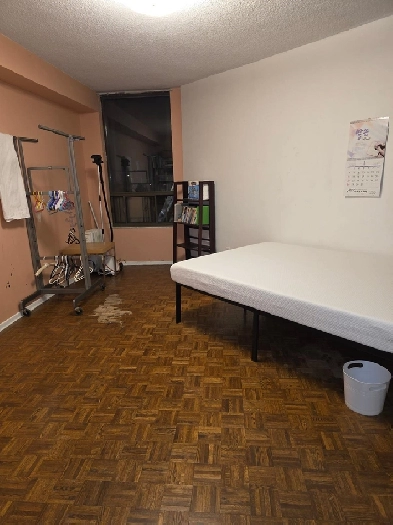 Room for Rent - Dundas West Image# 2