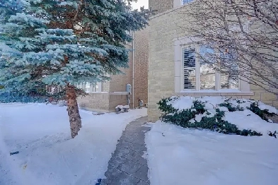 Newly Built 1-Bedroom Walk-Up Basement Unit in Richmond Hill Image# 10