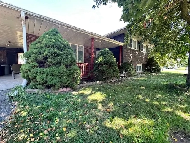 ROOMS FOR RENT NEAR WEBER AND NORTHFIELD  WATERLOO, QUIET HOME Image# 1