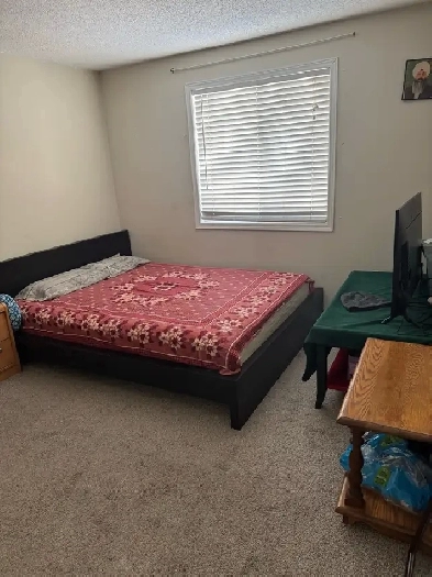 Private Room for Rent