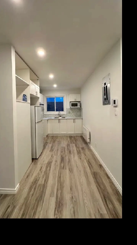 Renovated 4 1/2 Point St-Charles (Montreal) for rent Image# 1