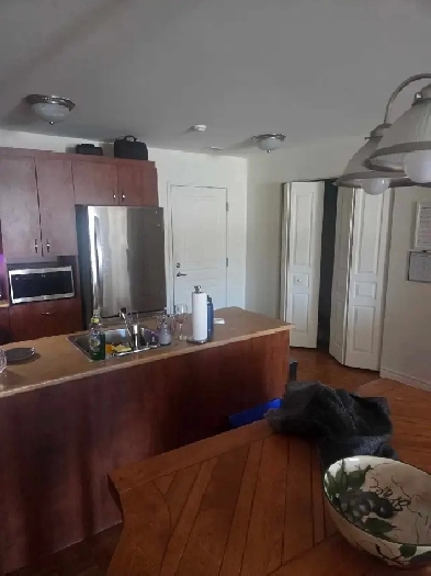 Beau 4 1/2 centre-ville de Trois-Rivières