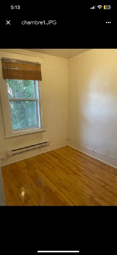 Chambre à louer à Saint-Henri Image# 1