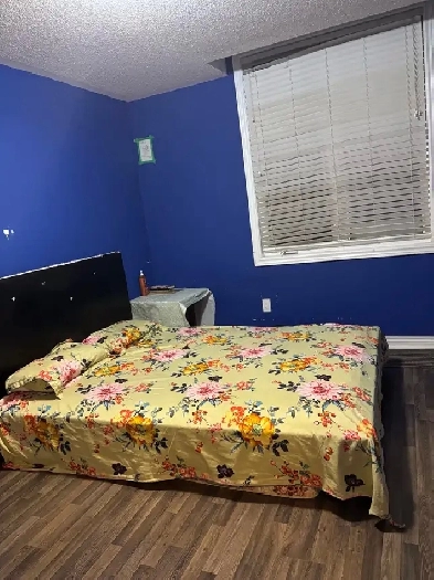 Room Available from 1st March Image# 1