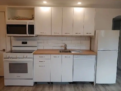 LEGAL 2 bed / 1 bath basement suite in Dover Glen dishwasher Image# 1